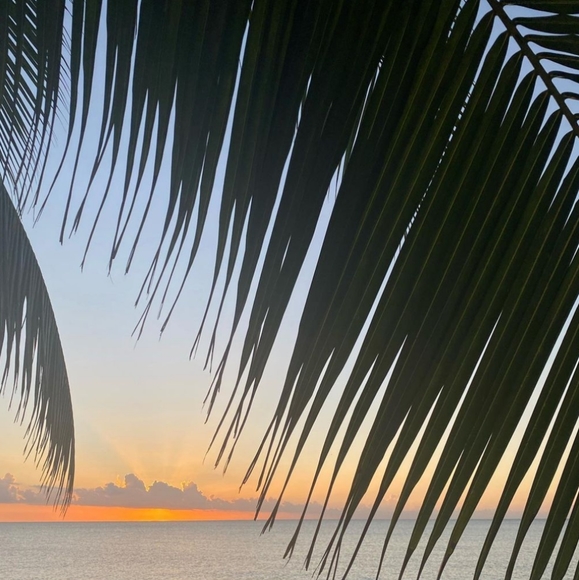 Meet your Posher, Jolanita - Picture 14 of 15